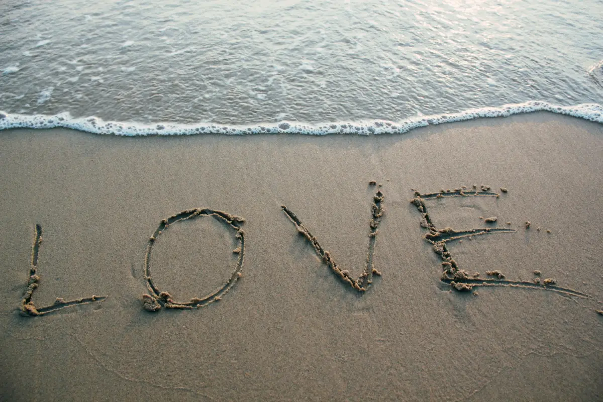 Liebe allein ist nicht genug
